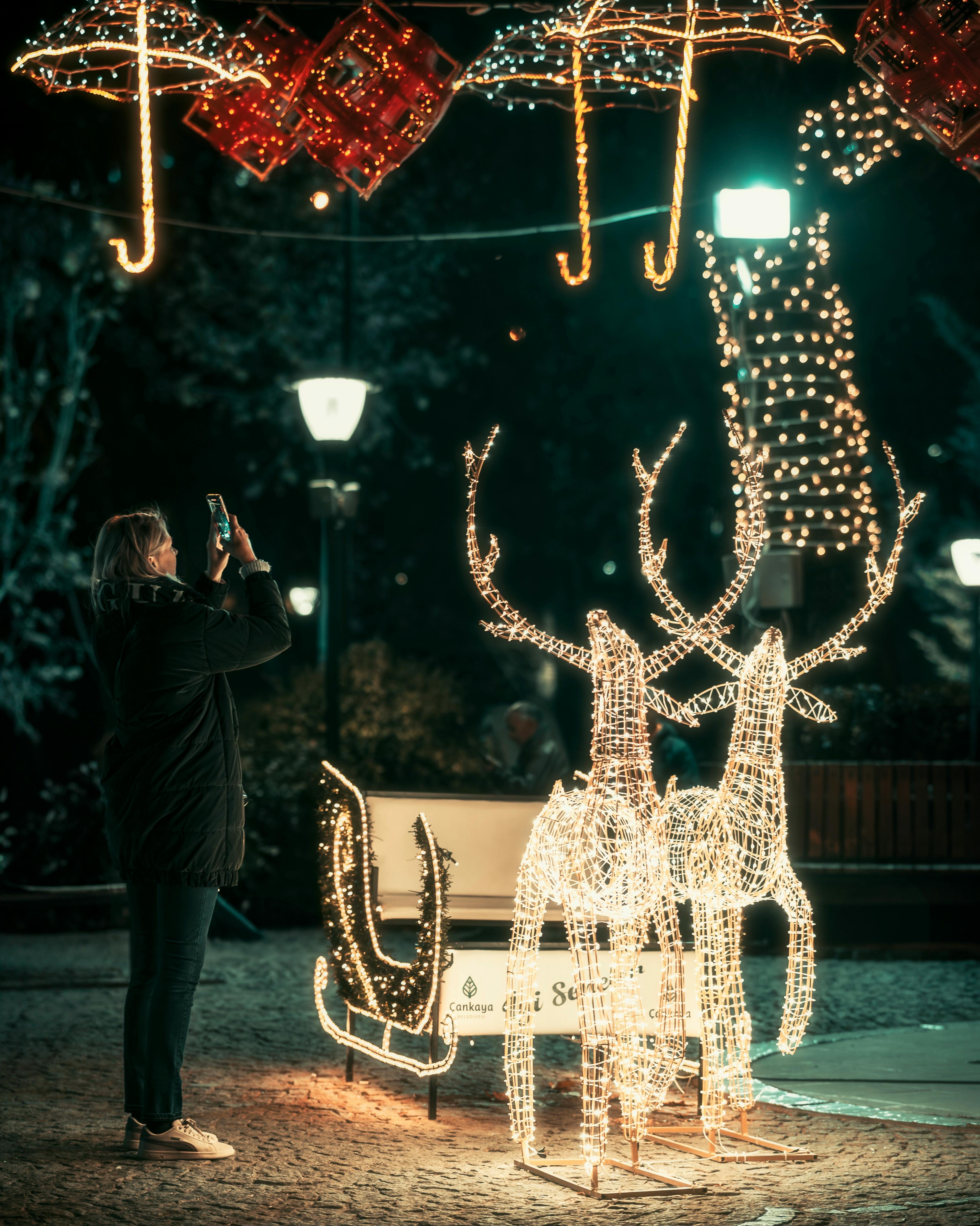 reindeer and santa claus sleigh lighting